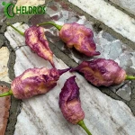 Pepper Thor's Thunderbolt Chilli